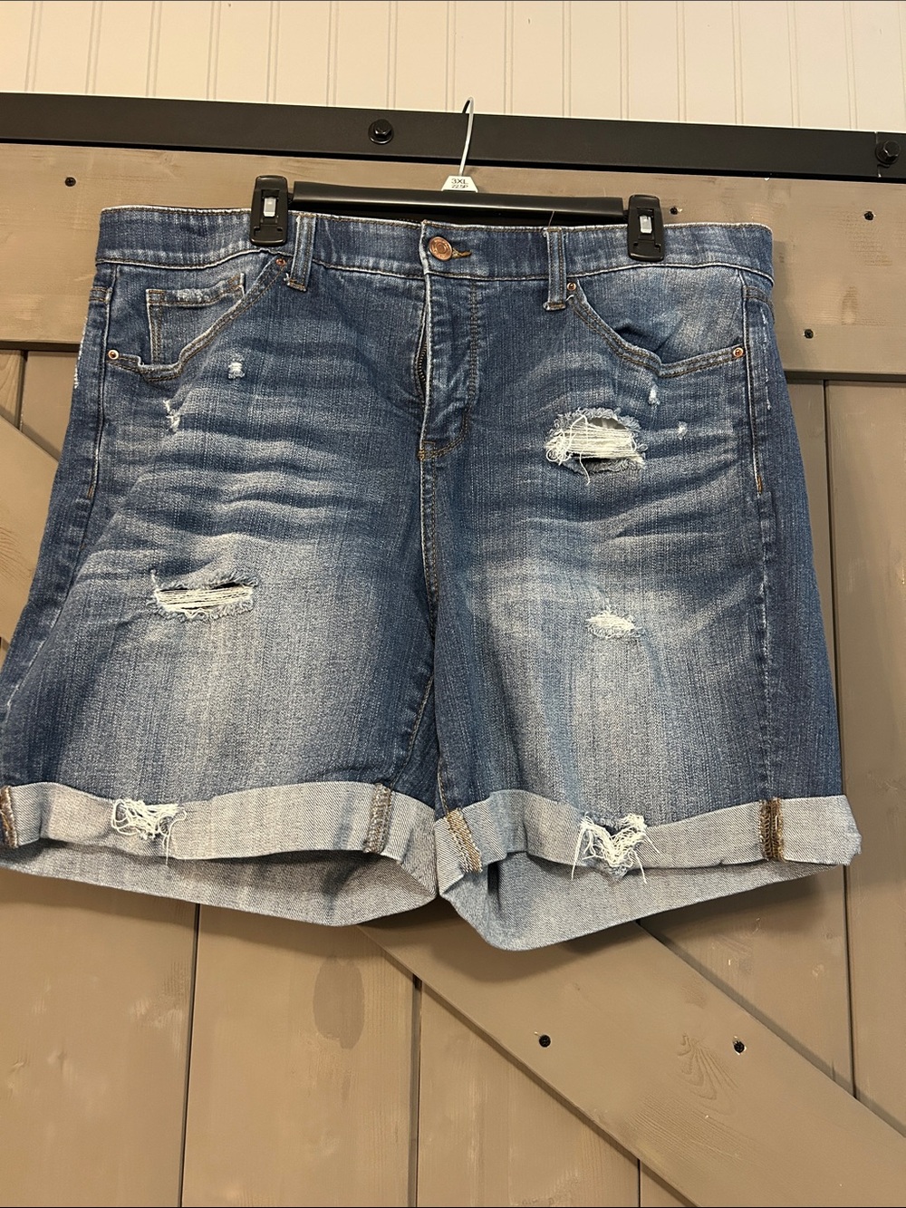 Terra & Sky Distressed Rolled Cuff Denim Shorts - Blue